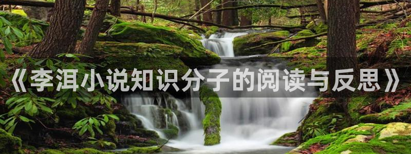 全本小说网：《李洱小说知识分子的阅读与反思》