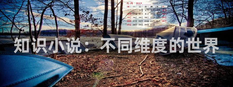 大明最后一个狠人txt下载全本小说：知识小说：不同维度的世界