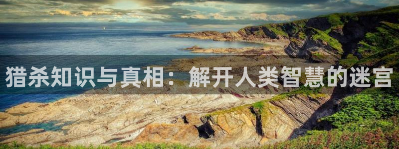 免费全本小说免费全本小说书城：猎杀知识与真相：解开人类智慧的迷宫