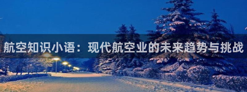 免费全本小说下载书包网：航空知识小语：现代航空业的未来趋势与挑战