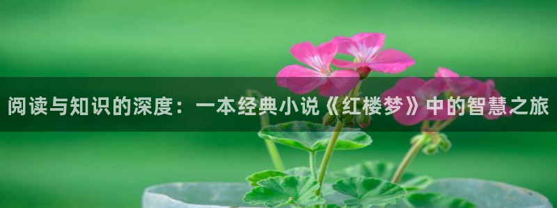 5200免费全本小说网全文阅读：阅读与知识的深度：一本经典小说《红楼梦》中的智慧之旅