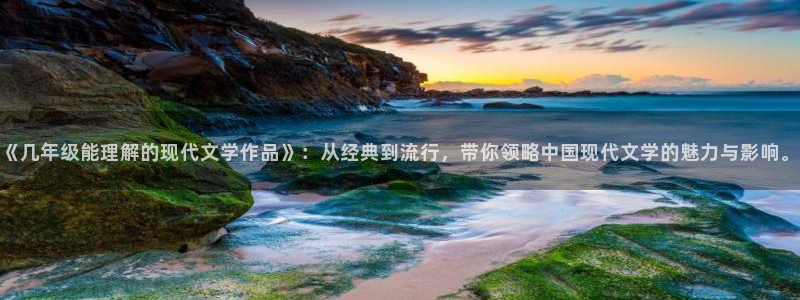 免费同人完结全本小说：《几年级能理解的现代文学作品》：从经典到流行，带你领略中国现代文学的魅力与影响。