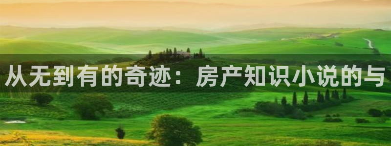 书包网全本小说全文免费阅读：从无到有的奇迹：房产知识小说的与
