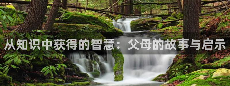 笔趣阁全本小说阅读网：从知识中获得的智慧：父母的故事与启示