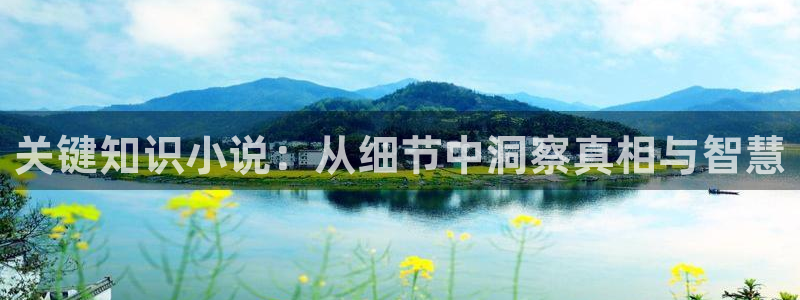 免费阅读笔趣阁全本小说：关键知识小说：从细节中洞察真相与智慧