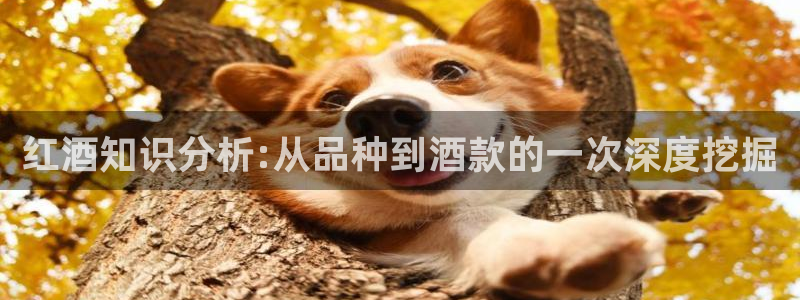 bl全本小说网：红酒知识分析:从品种到酒款的一次深度挖掘