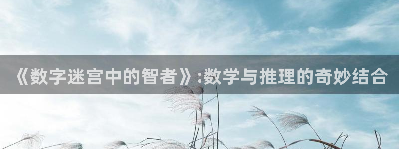 沉沦免费全本小说：《数字迷宫中的智者》:数学与推理的奇妙结合