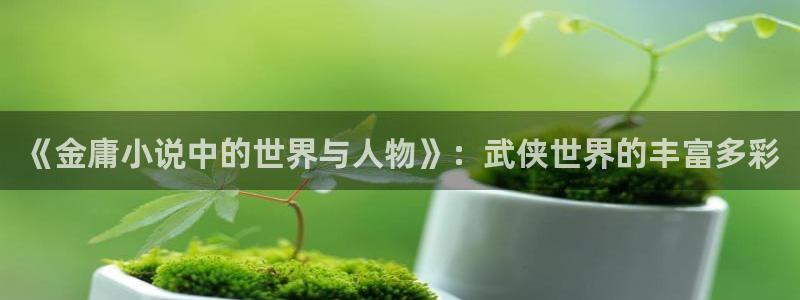 大明最后一个狠人txt下载全本小说：《金庸小说中的世界与人物》：武侠世界的丰富多彩