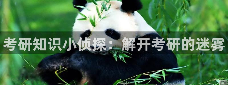 绍宋免费阅读全本小说：考研知识小侦探：解开考研的迷雾