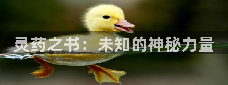 办公室隐婚全本小说免费阅读：灵药之书：未知的神秘力量