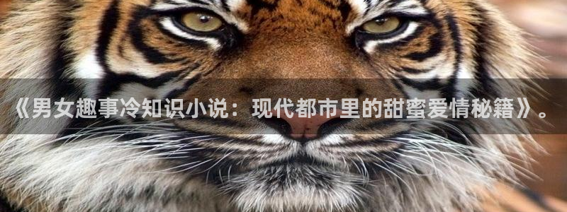 都市之最强狂兵全本小说：《男女趣事冷知识小说：现代都市里的甜蜜爱情秘籍》。