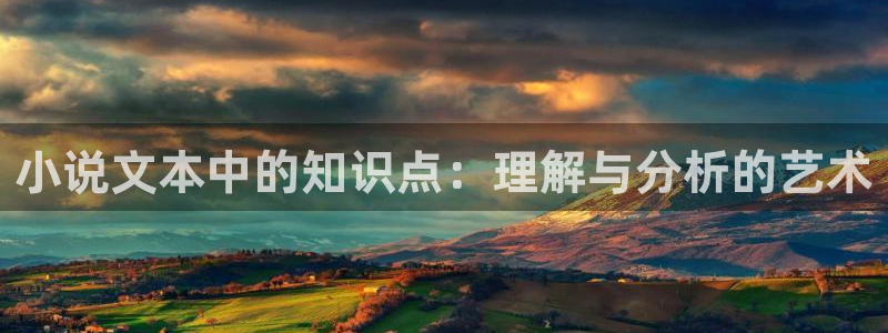 笔趣阁全本小说网站下载：小说文本中的知识点：理解与分析的艺术