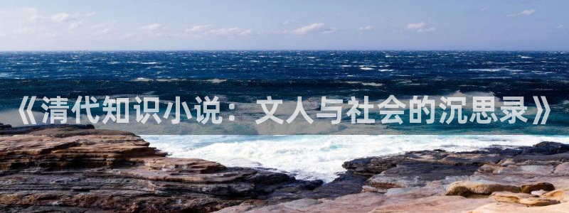 一念永恒全本小说阅读：《清代知识小说：文人与社会的沉思录》