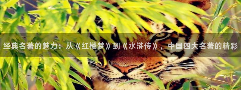 傅延笙阮易欢周允黎全本小说：经典名著的魅力：从《红楼梦》到《水浒传》，中国四大名著的精彩