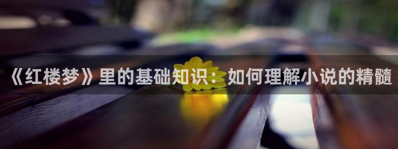 无限小说网全本小说下载：《红楼梦》里的基础知识：如何理解小说的精髓