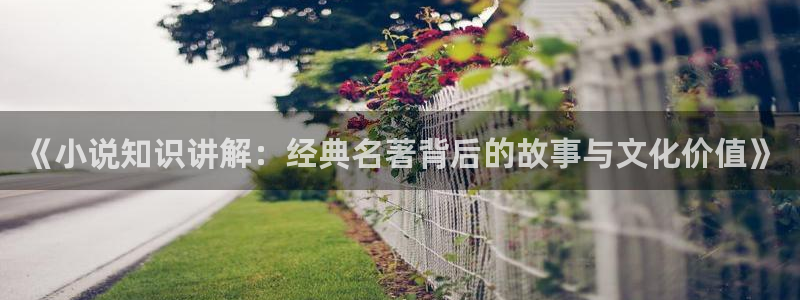顾风林悦免费全本小说：《小说知识讲解：经典名著背后的故事与文化价值》