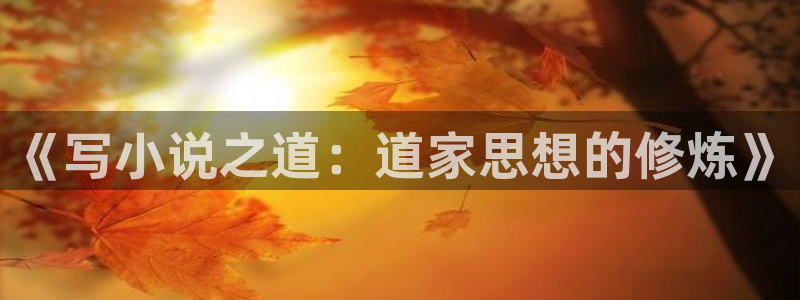 无限小说网全本小说txt下载：《写小说之道：道家思想的修炼》